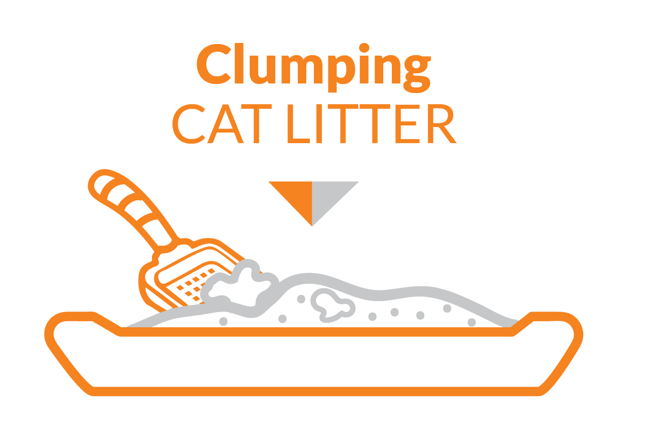 Grå katt
